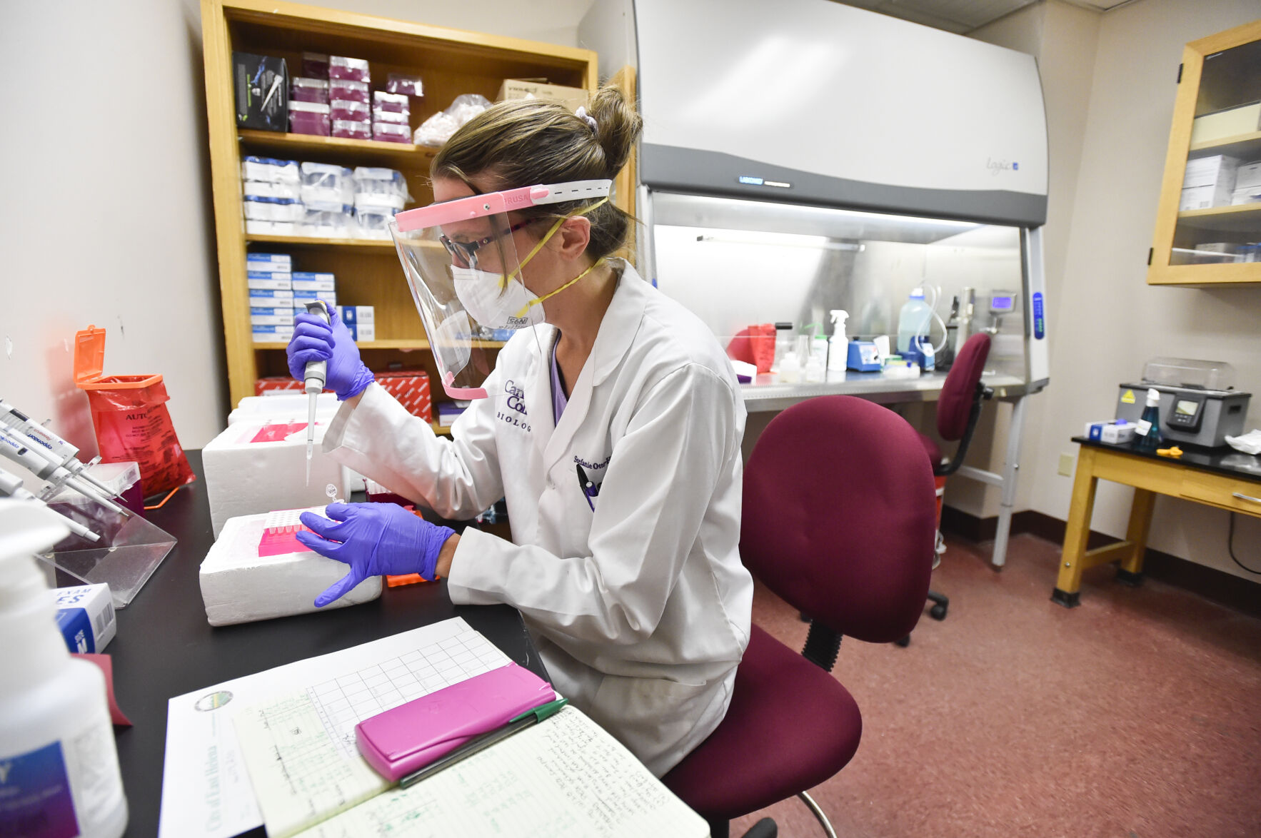Carroll College neuroscientist Stefanie Otto-Hitt